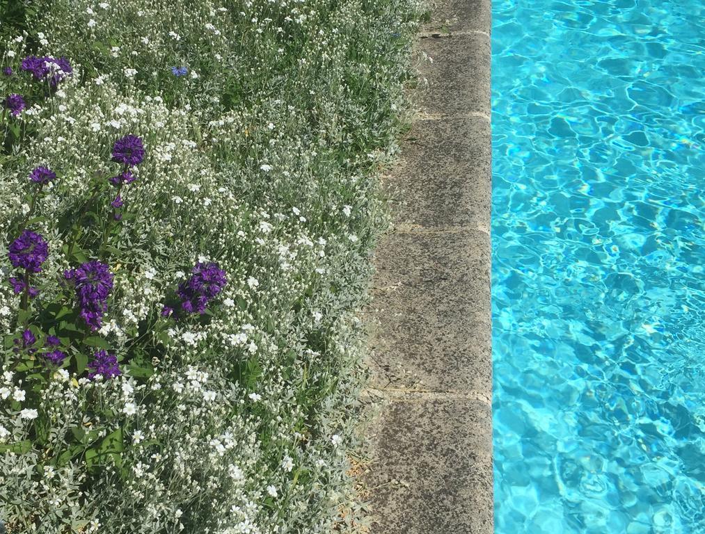 مبيت وإفطار Montagny-lès-Beaune Fleurs De Vignes Piscine المظهر الخارجي الصورة
